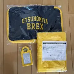 宇都宮ブレックス グッズセット
