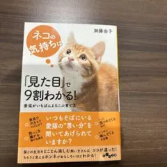 Item thumbnail for item 85db9af1-e7b5-4f01-a209-0cc78e116121