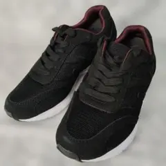 Item thumbnail for item b5a50f25-67a6-4f6d-b133-30edf19f903c