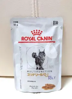 Item thumbnail for item 4c09a7aa-966f-4846-961a-0b2f1ad79005