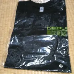 Item thumbnail for item 0b76dc56-c70b-4f55-9bed-d5c58977d8dc