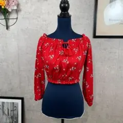 【美品】ディバイデッド ブラウス 長袖 オフショルダー クロップドトップ Sのサムネイル