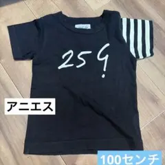 アニエス　tシャツ