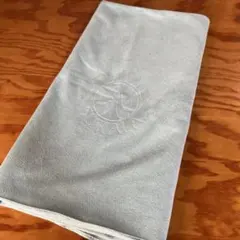 Item thumbnail for item 39369445-522e-4fc7-bb51-dd55fd8ed408