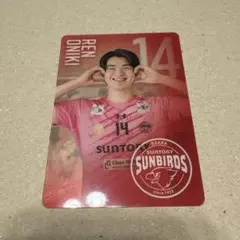 Item thumbnail for item f4569c56-0d96-4719-993f-852eba516a61