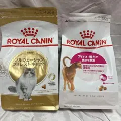 Item thumbnail for item bde3b195-9a30-4572-bce6-77ff5545d628