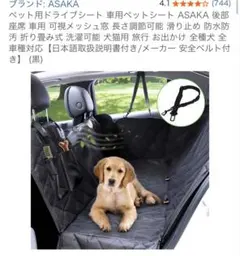 Item thumbnail for item b678c6e0-8030-4c38-9d3e-134c39d86204