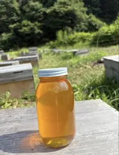 Item thumbnail for item 82cc3e5c-233e-4ec8-8a82-906ec8e8fe1b