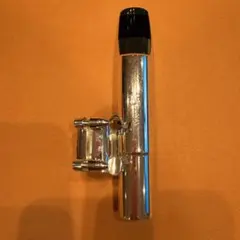 Item thumbnail for item ed46c84e-1983-4671-a104-cb57724e2593