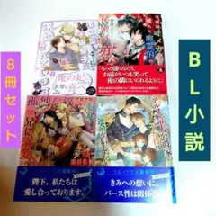 【匿名配送料込】BL小説８冊セット