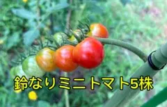 はるゆうまま様 リクエスト 3点 まとめ商品