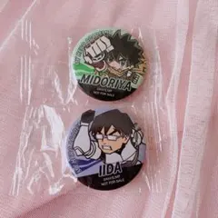 ❁⃘*.゜僕のヒーローアカデミア/缶バッジ/2点セット❁⃘*.゜