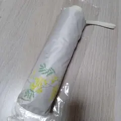 Item thumbnail for item 2e3ac6a8-bfe2-4759-8679-c5544535393d