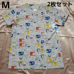 Item thumbnail for item 51fce06a-6e52-47e9-a501-82a0756ab890