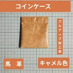 Item thumbnail for item d9831f03-1737-467f-917f-f004d66181a6