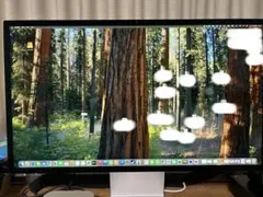 Apple Studio Display 27インチ 本体