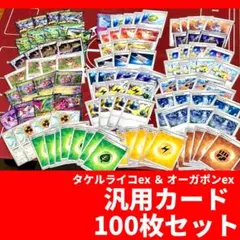 【100枚】ポケモンカード タケルライコex 構築 優勝 環境 デッキ 汎用
