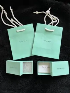 Tiffany & Co. 紙袋２枚とジュエリーボックス2個のセット