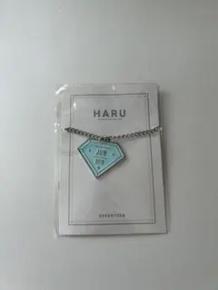 SEVENTEEN JUN キーホルダー