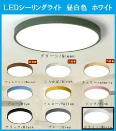 Item thumbnail for item 613e17f2-9007-49f3-ad56-702e968a664f