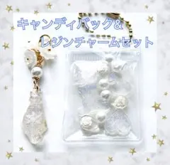 キャンディバック&レジンチャーム 2こセット No06 花 猫 クマ うさぎ 雪