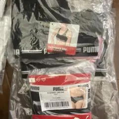 PUMA スポブラ パンツ セット
