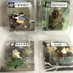 カバヤ　日本の小鳥　彩色フィギュアコレクション 4体セット