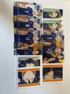 ハイキュー‼︎ 烏野高校　カード類　12枚セット