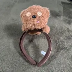 ティムのカチューシャ