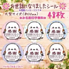 O7 お世話になりました感謝入シール シマエナガちゃんシングル丸型48枚セット