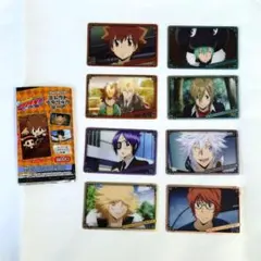 リボーン メタリックカード 8枚 まとめ売り REBORN! 沢田綱吉 セリア