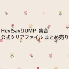 Hey!Say!JUMP 公式クリアファイルまとめ売り