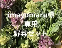 imayomaru様専用　佐賀平野の野菜セット　詰め合わせ　80サイズ