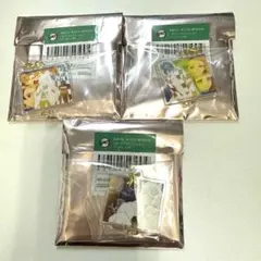 鬼滅の刃 隊士百景 絆アクリルチャーム 竈門炭治郎 伊之助 善逸 錆兎 真菰