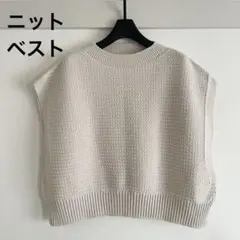 極美品 ヒューマンウーマン ニットベスト エクリュ コットン ポリエステルのサムネイル