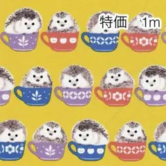 ラスト 特価 1m ハリネズミ イエロー オックス