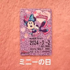 ディズニーリゾートライン フリーきっぷ リゾラ ミニーのファンダーランド