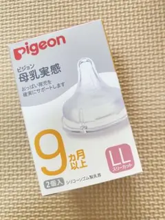 Item thumbnail for item 27bbecc2-867b-4837-8c1a-e779c724c46b