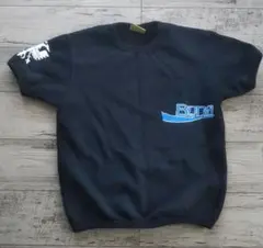 Item thumbnail for item 0d6f63fe-c8d1-4234-9dd4-f5143893119e