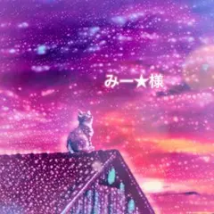 みー★様　専用ページ