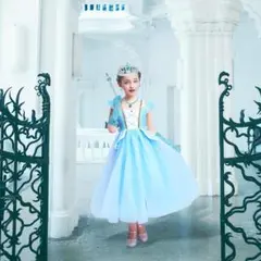 ディズニープリンセスコスチューム 水色 100cm