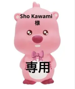 Sho Kawami様 専用ページです★