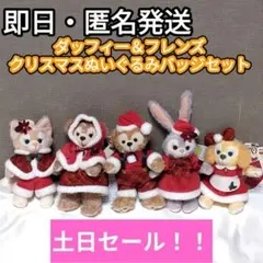 新品　ダッフィー＆フレンズ　クリスマスぬいぐるみバッジ　５点セット