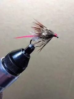 Item thumbnail for item 9101e559-a780-4fcc-a109-e428370f6e2f