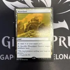 MTG Wasteland 不毛の大地　2枚セット EMA 不毛の大地/Wasteland EMA 1枚（英） - メルカリ