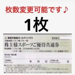 スキー場 リフト券 割引券1枚♪ハンターマウンテン塩原 ニセコ東急グランヒラフK