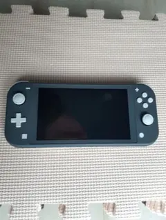 Nintendo Switch Lite グレー 本体のみ 動作品