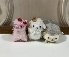 アミューズ　アルパカッソ　ハリネズミ　ハリン　STサイズ　3体　まとめ売り
