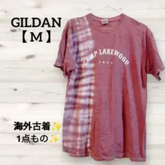 海外古着✨️ GILDAN 【 M 】 Tシャツ 半袖