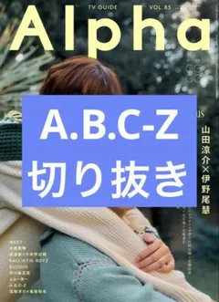 TVガイドAlpha Vol.85 EP.GGGG A.B.C-Z 切り抜き